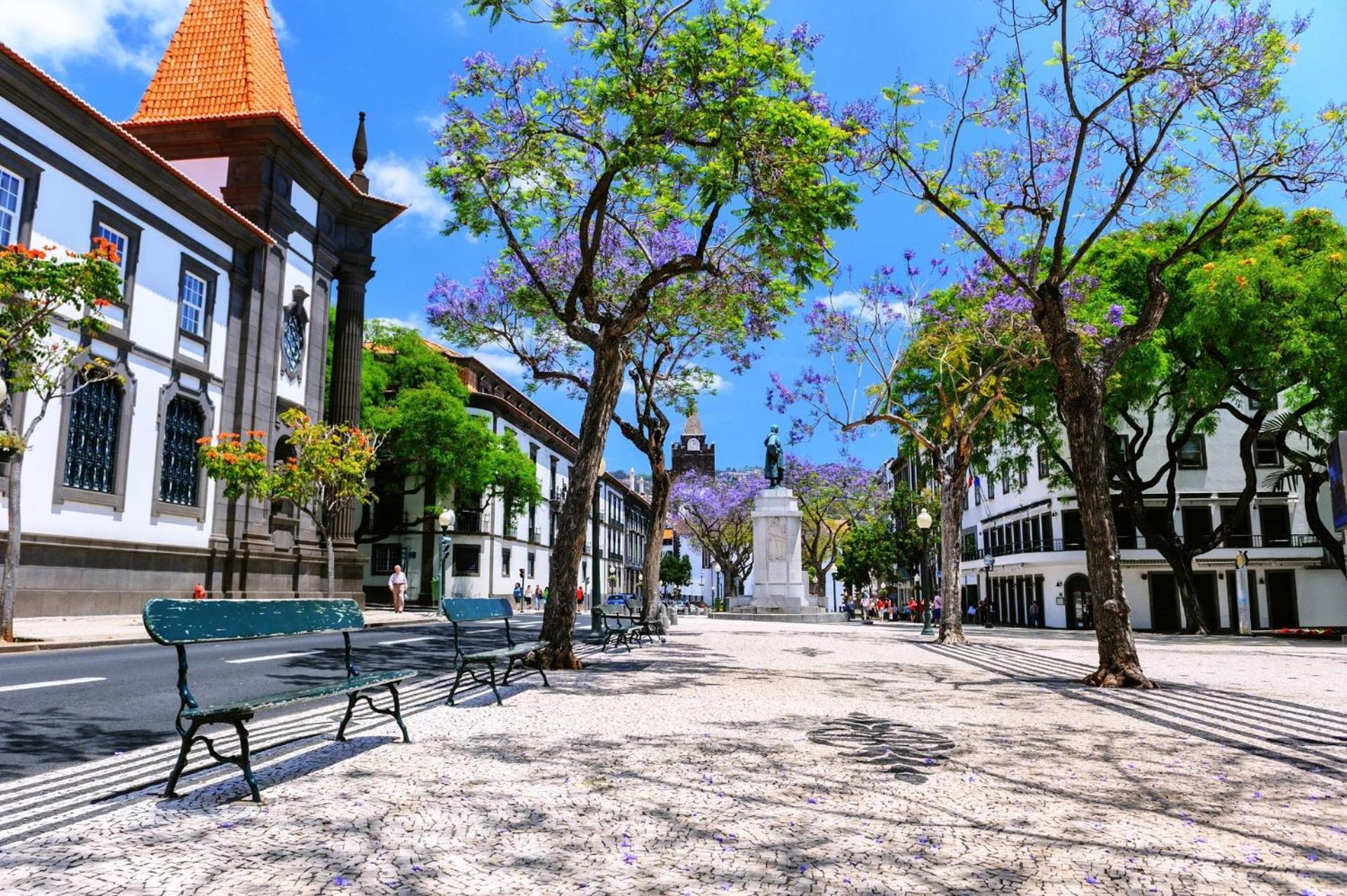 Art Deco Central Apartments, Funchal Bagian luar foto